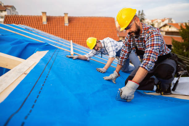 Best Storm Damage Roof Repair  in Roscoe, TX